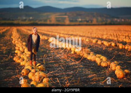 Mädchen in dunkelblauem Mantel und orangefarbenem Rock steht bei Sonnenuntergang auf Kürbissen auf dem Feld. Halloween. Schöne Landschaft in Ungarn Stockfoto