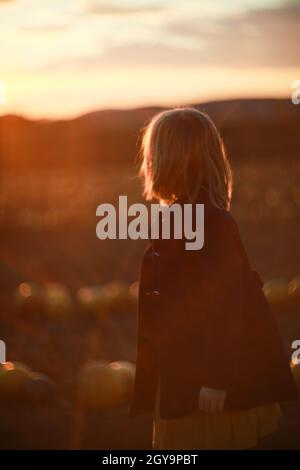 Kind, Mädchen, stehend im Kürbisfeld bei Sonnenuntergang. Bild mit Bokeh-Lichtern. Freiheit und Glück Konzept. Nicht fokussiert Stockfoto