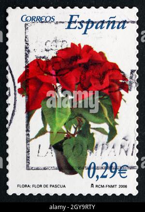 SPANIEN - UM 2006: Eine in Spanien gedruckte Briefmarke zeigt Poinsettia, Phribia pulcherrima, Plant, um 2006 Stockfoto