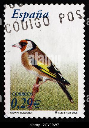 SPANIEN - UM 2006: Eine in Spanien gedruckte Briefmarke zeigt europäischen Goldfink, Carduelis Carduelis, Singvögel, um 2006 Stockfoto