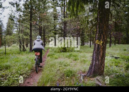 Radfahrer auf einspurigen Trailbikes durch den Wald Stockfoto