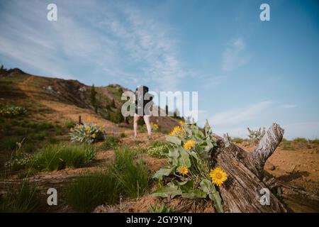 Verschwommener Wanderer auf Wanderwegen mit Wildblumen im Vordergrund Stockfoto