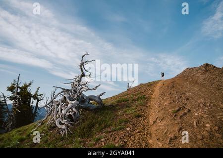 Wanderer steht auf dem Gipfel mit felsigen Pfad im Vordergrund Stockfoto