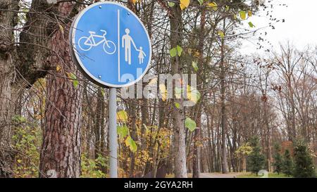 Fußgänger- und Fahrradstraßenschild mit weißen blauen Markierungen auf einem Hintergrund von Bäumen und blauem Himmel in einem Park im Herbst. Separate Fahrspuren für Fußgänger und Stockfoto