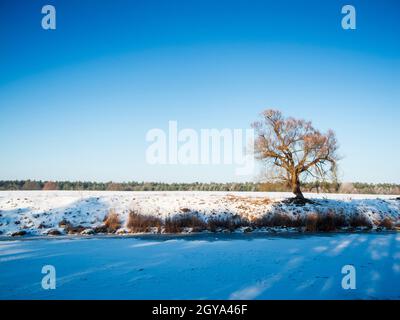 Schneebedeckte Winterlandschaft mit Blick über einen Kanal auf ein offenes Feld und einen einzigen Baum am gegenüberliegenden Ufer vor einem blauen, wolkenlosen Himmel. Stockfoto