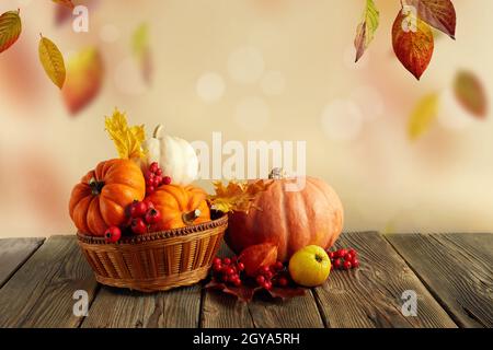 Thanksgiving-Kürbisse, Herbstblätter und Beeren auf Holztisch. Herbsthintergrund mit fallenden Blättern. Stockfoto