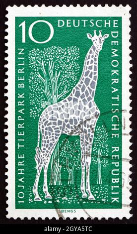 DEUTSCHLAND - UM 1965: Eine in Deutschland gedruckte Marke zeigt Giraffe, Giraffa Camelopardalis, Säugetier, 10. Jahrestag des Berliner Zoos, um 1965 Stockfoto