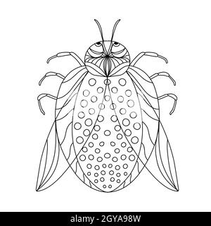 Schönes Modell für Druckdesign. Isolierter Hintergrund. Niedliche Insekten Vektor-Illustration. Vektor isolierte Umrissfarbe Zeichnung. Insektencharakter. Stockfoto