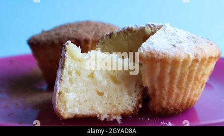 Zwei mit Schokolade und Puderzucker bestreute Quark-Kuchen auf einem rosa Teller auf blauem Hintergrund. Dessert, ein kleiner Cupcake. Weiß gebackene Plätzchen mit einem A Stockfoto