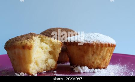 Drei Quark-Kuchen mit Schokolade und Puderzucker bestreut, einer von ihnen gebissen, auf einem rosa Teller, auf einem blauen Hintergrund Nahaufnahme. Dessert, ein kleiner Cupcak Stockfoto