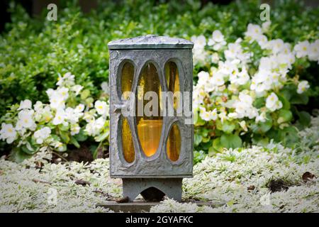 Grablampe aus Metall mit gelbem Glas auf einem Grab mit blühenden weißen Blüten Stockfoto