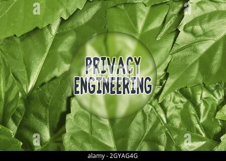 Konzeptionelle Bildunterschrift Privacy Engineering, Business Idea Engineered Systems bieten akzeptable Datenschutzniveaus Nature Conservation Ideas, New environme Stockfoto