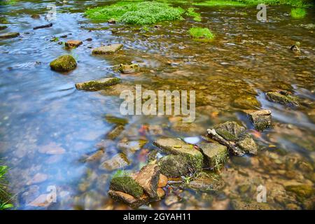 Flecken von Moos und Gras in der Nähe von kleinen Felsen in einem flachen Flussbett Stockfoto