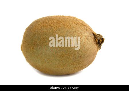 Ganze Kiwi-Frucht Nahaufnahme isoliert auf weißem Hintergrund. Stockfoto