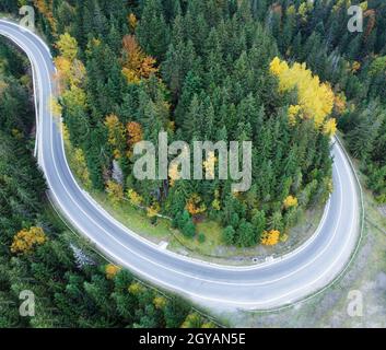 Asphaltierte Straße durch einen dichten Wald in den Karpaten, Ukraine. Stockfoto