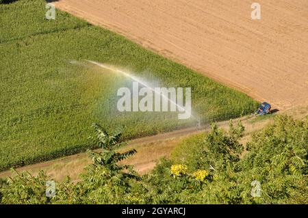 Wasser die Installation von Sprinklern in einem Feld von Mais, Luftaufnahme Stockfoto