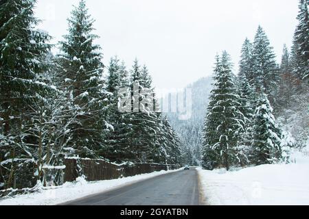 Asphaltstraße zwischen dem verschneiten Wald. Straße im Alpenwald Stockfoto