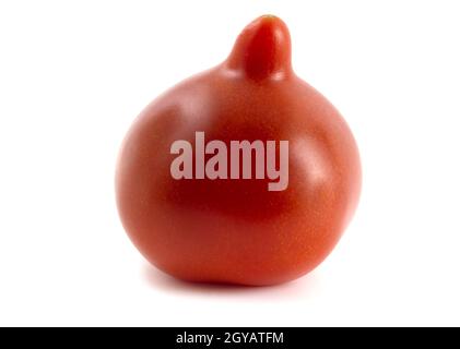 Frische Tomate mit länglicher Spitze isoliert auf weißem Hintergrund Stockfoto