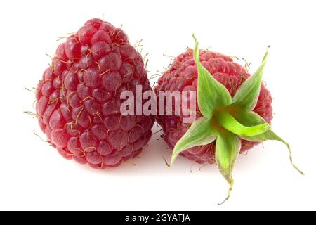 Zwei Himbeeren isoliert auf weißem Hintergrund Stockfoto