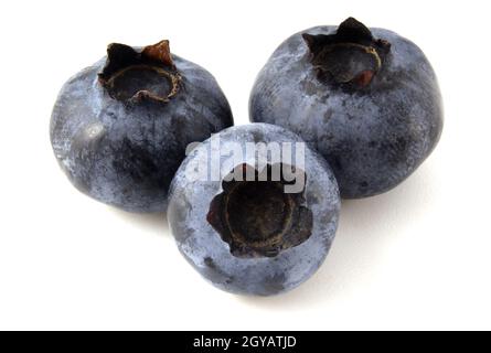 Heidelbeere liegt isoliert auf weißem Hintergrund. Frische reife Beeren Stockfoto