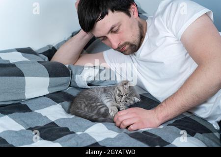 Thema ist Liebe, Pflege und Schutz von Haustieren. Mann, der sich im Bett mit der babygrauen schottischen Katze sonnt. Männliche Umarmungen und Schlaganfälle Katze zu Hause im Schlafzimmer. Kat Stockfoto