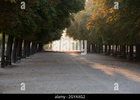 Kastanien Allee in den Gärten von Luxemburg, Paris Stockfoto