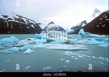 Eisberge in einem Glacial Lake am Portage Glacier in Alaska Stockfoto