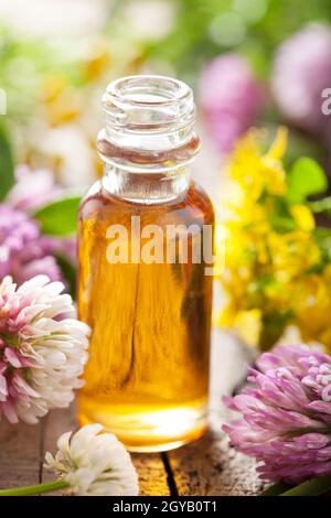 ätherisches Öl und medizinische Blumen Kräuter Stockfoto