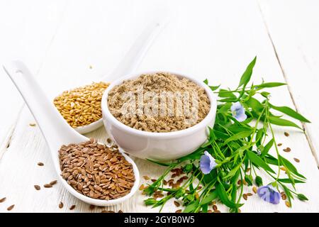 Leinsamen-Mehl in einer Schüssel, weiße und braune Leinensamen in zwei Löffeln und auf dem Tisch, Leinenblätter und Blumen auf weißem Holzbrett Hintergrund Stockfoto