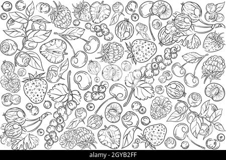 Handgezeichnete verschiedene Beeren. Kirsche, Erdbeere, Himbeere, Brombeere usw. Doodle Hintergrund gesetzt Stockfoto