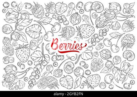 Handgezeichnete verschiedene Beeren. Kirsche, Erdbeere, Himbeere, Brombeere usw. Doodle Hintergrund gesetzt Stockfoto