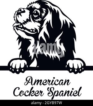 American Staffordshire Terrier Peeking Dog - Kopf isoliert auf weißem - Vektorstock Stock Vektor