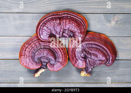 Nahaufnahme des Ling zhi-Pilzes, des Ganoderma lucidum-Pilzes auf Holzboden Stockfoto