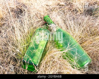 Leere Alkoholflaschen im Gras auf der Natur. Tourismus. Umgebung. Soziale Probleme. Müll. Stockfoto