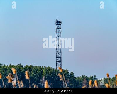 Feuerbeobachtungsturm im Wald vor blauem Himmel. Hilfe. Notfall. Platz für Text. Hintergrundbild. Ökologie. Umwelt. Stockfoto