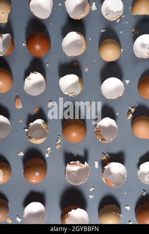 Draufsicht auf Eierschalen in Reihe auf grauem Hintergrund Stockfoto