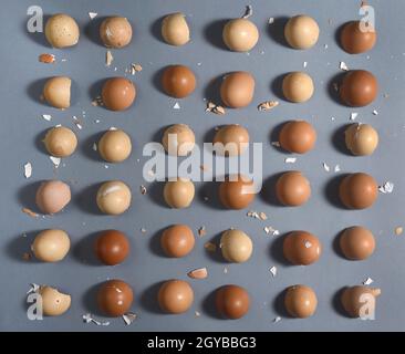 Draufsicht der Eierschalen in Reihe auf dem Kopf nach unten auf grauem Hintergrund Stockfoto