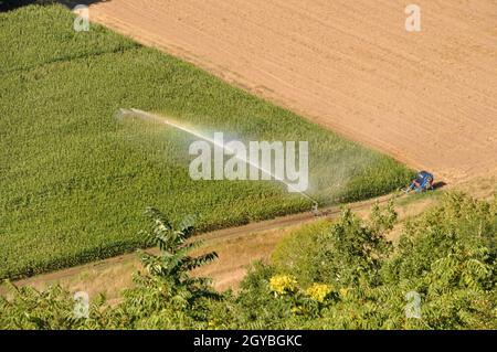 Wasser die Installation von Sprinklern in einem Feld von Mais, Luftaufnahme Stockfoto