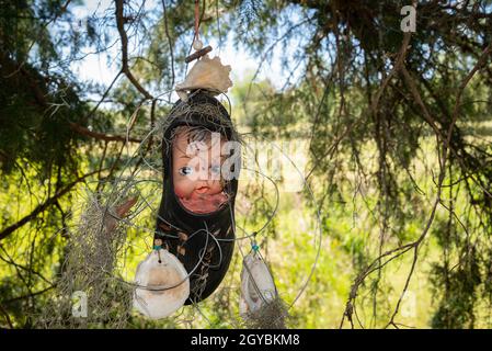 Scary Baby Doll Im Baum Stockfoto