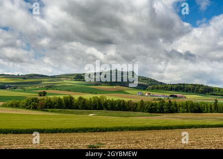 Hegauer Landschaft mit Blick auf die Hohenstoffeln, Landkreis Konstanz, Baden-Württemberg, Deutschland Stockfoto
