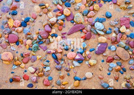 Leuchtend rote, schwarze, blaue, rosa und violette bunte Steine an einem sandigen Ufer Stockfoto