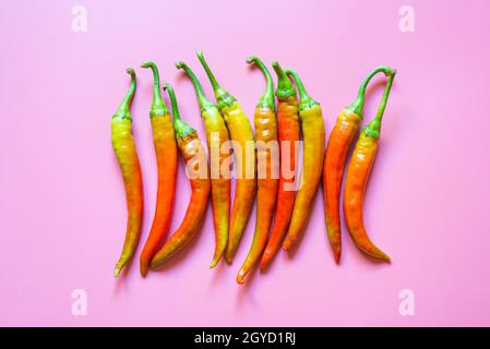 Frische rote und orange, scharfe Paprika auf rosa Hintergrund Stockfoto