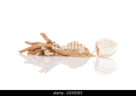 Aswagandha Wurzel und Pulver auf weißem Hintergrund isoliert. Withania somnifera. Alternative Medizin, Adaptogen. Stockfoto