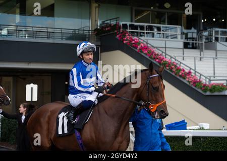 Ascot, Bergen, Großbritannien. Oktober 2021. Der Jockey Silvestre De Sousa auf dem Pferd Siam Fox geht auf die Rennstrecke, um die von Racing to School eingestuften Einsätze zu erhalten. Besitzer King Power Racing Co Ltd. Trainer Richard Hannon, Marlborough. Züchter Con Marnane. Sponsor King Power International Co Ltd. Credit: Maureen McLean/Alamy Stockfoto