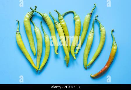 Scharfe grüne Paprika auf hellblauem Hintergrund Stockfoto