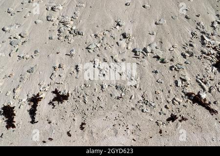 Wunderschöne Aufnahmen des weißen Strandsands auf der Seychellen-Paradiesinsel mit Fußabdrücken. Stockfoto