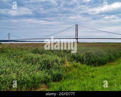 Blick auf die Humber Bridge über ausgedehnte Schilfbeete am Südufer der Humber Estuary, England Stockfoto