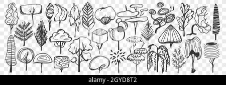 „Trees Doodle“-Set. Sammlung von handgezeichneten Laub- und Nadelbäumen mit Blättern und Kronen isoliert auf transparentem Hintergrund. Abbildung von n Stockfoto