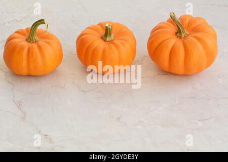 Lebendige Herbstkürbisse in einem Rand auf strukturiertem neutralen Hintergrund mit Platz für Text. Erntedankfest und oder Halloween Erntekonzept Stockfoto