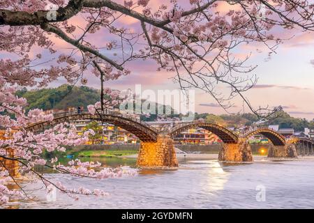 Kintaikyo-Brücke in Iwakuni, Japan bei Sonnenuntergang mit Kirschblüte Stockfoto